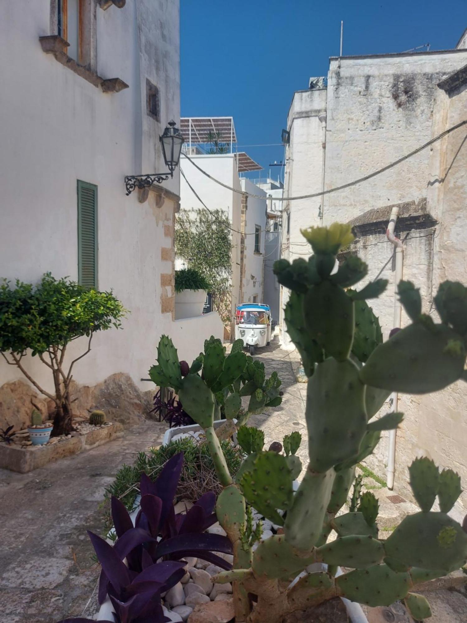 Apartment Antica Dimora Flale *